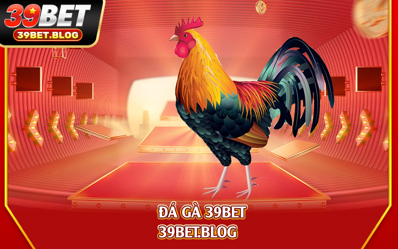 Đá Gà 39bet - Trang ĐÁ GÀ TRỰC TIẾP mỗi ngày tại 39bet 2 Đá-Gà-39bet-2